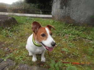 DSCN5759 COB くん.JPG