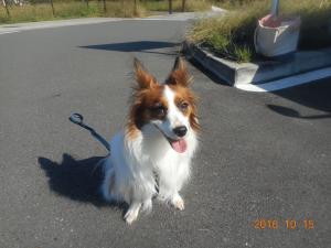 DSCN5770 ゆうき くん.JPG