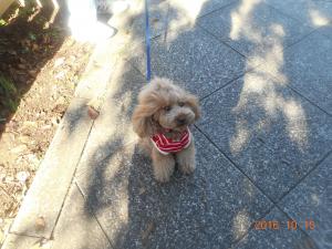 DSCN5772 こももちゃん.JPG