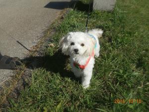 DSCN5776 リコちゃん.JPG