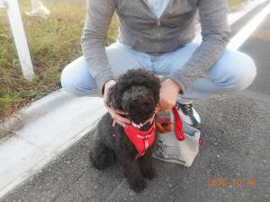 DSCN5782 モモコちゃん.JPG