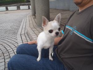 PA080013 ﾁﾜﾜ.JPG