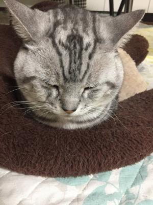 image2 ちび くん.JPG