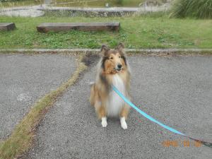 DSCN5785 ｺﾘｰ.JPG