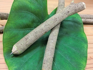 木工教室 (6).jpgのサムネイル画像