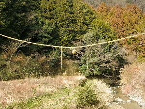 雌綱２０１４ (5).jpg