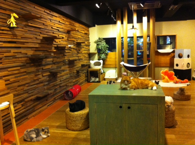 ___3.JPGのサムネイル画像