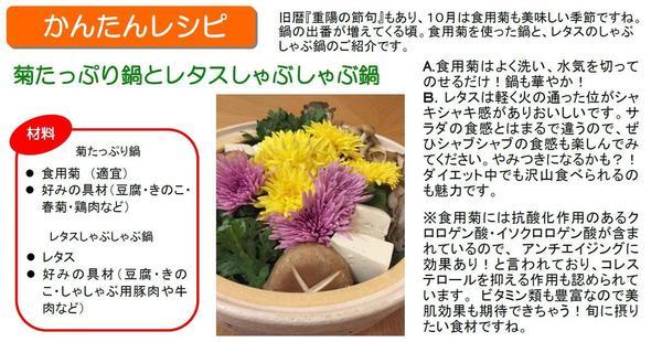 かんたんレシピ☆菊.jpg
