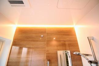 ライン型の照明