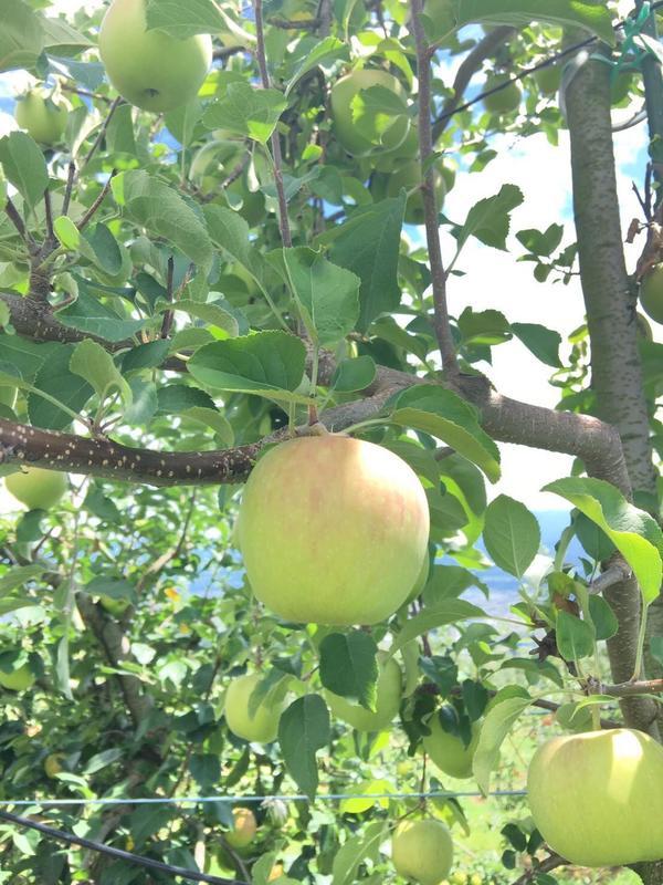 2019年8月22日 南信州バスツアー_190823_0014.jpg