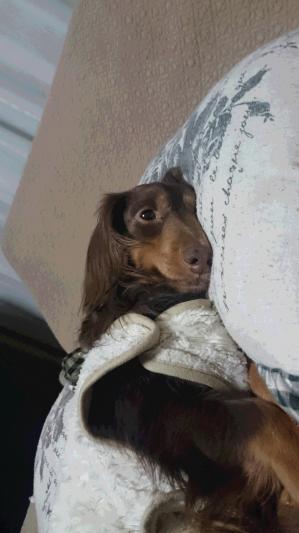 DSC_0116.JPGのサムネイル画像