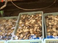 ・・水産.JPGのサムネイル画像