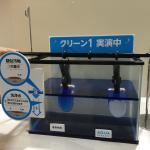 くりーん1.JPGのサムネイル画像