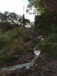 硫黄源泉 (2).JPG