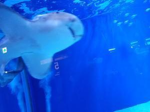 20180520_105503.jpgのサムネイル画像