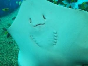 20180520_105543.jpgのサムネイル画像のサムネイル画像