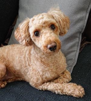 _20210322_103736.JPGのサムネイル画像