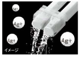 セ-CW29-25_0046 (1).jpg