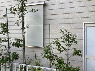 西日が強い窓に設置