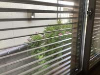 After.jpgのサムネイル画像