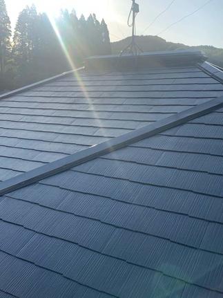 日本ペイント　ファインパーフェクトベスト