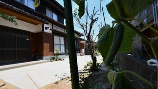 季節の収穫を楽しめる植栽スペース