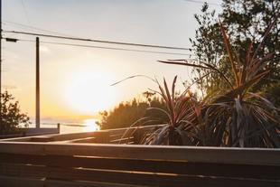 いつでも最高のロケーションを楽しみながら、愛犬と子供が走り回れるお庭にガーデンリフォーム