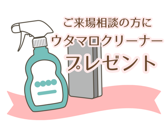 iemiru (1024 x 768 px).png