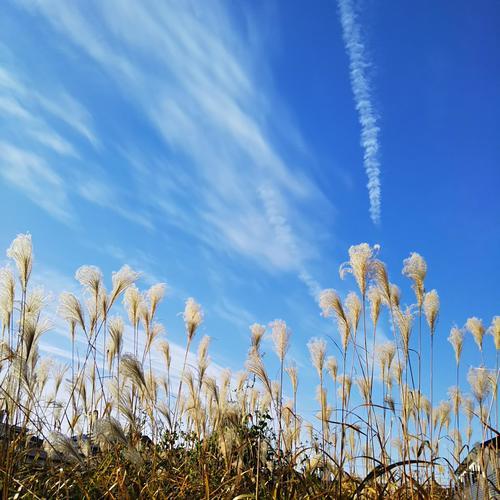 DSC_0412 - コピー.JPG