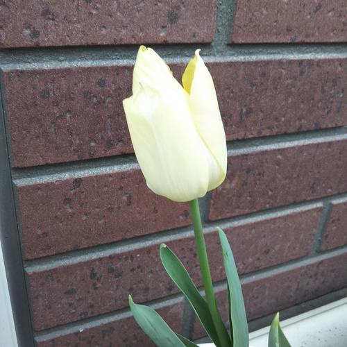 DSC_0573 - コピー.JPG