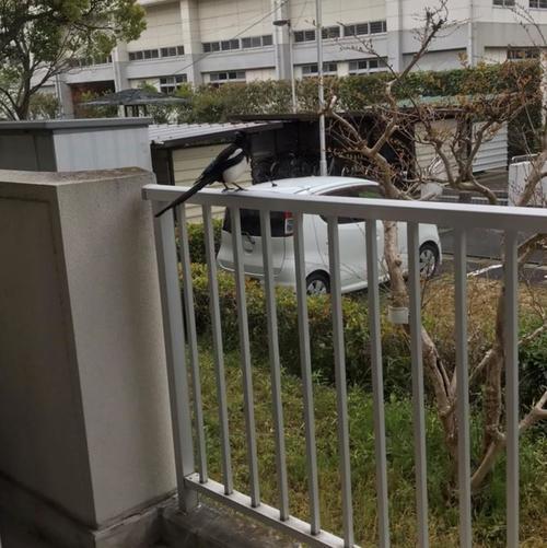 1587092053748 (2).jpg