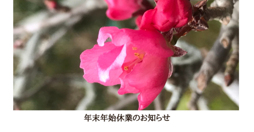 年末年始休業のお知らせ (1).png