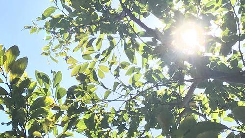 IMG_1093-1920x1080 (1).jpg