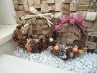 CIMG1116.JPGのサムネイル画像