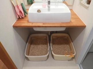 ピッタリおさまった洗面