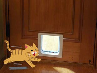 猫ちゃん想いのペットドア設置