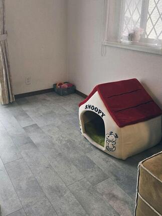 わんちゃんにもやさしい、明るい床へ