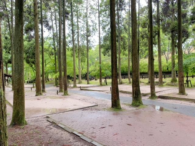 image0 - コピー.jpeg