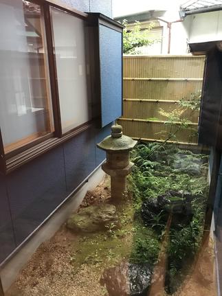 ダイニングからみえる癒しの中庭