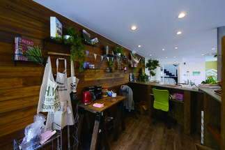 カウンター裏もお洒落に