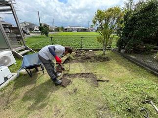 芝の撤去作業中