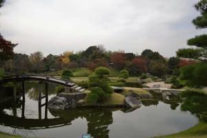 IMG_2999.JPGのサムネイル画像