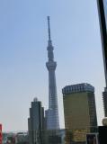 スカイツリー浅草から.jpg