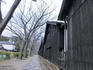 冬の山居倉庫（お米蔵）と、ケヤキ並木。