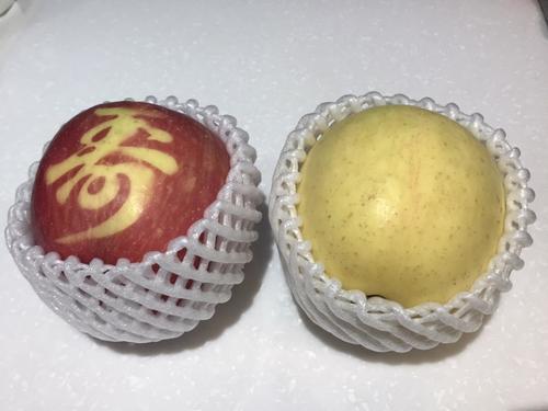 S__53493775.jpgのサムネイル画像