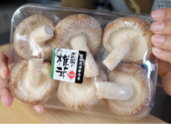しいたけ.png