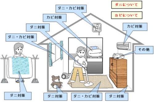 スクリーンショット 2025-07-14 115635.png