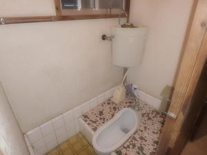 ちょっと懐かしい和式タイプ