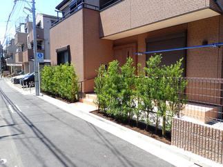 足立区の助成金