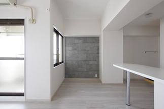 アクセントエコカラット